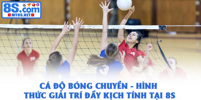 Cá độ bóng chuyền - Hình thức giải trí đầy kịch tính tại 8S 1 Cá độ bóng chuyền - Hình thức giải trí đầy kịch tính tại 8S