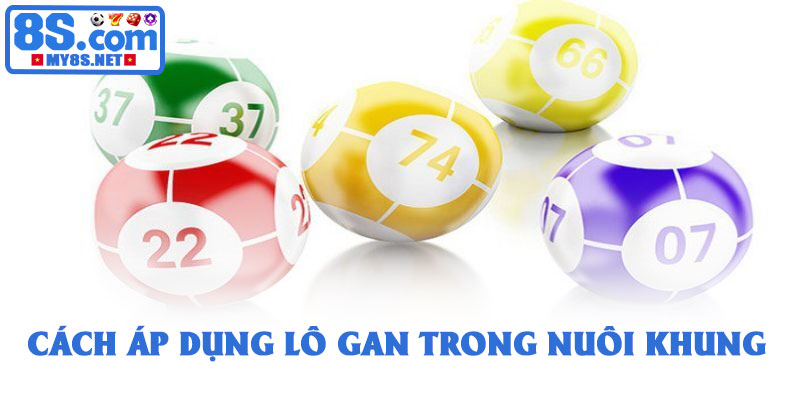 Lô gan là gì? - Hướng dẫn soi cầu lô gan hiệu quả và an toàn 3 Cách áp dụng lô gan trong nuôi khung