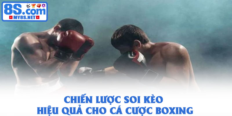 Cá cược boxing - Trải nghiệm kịch tính từ sàn đấu quyền Anh 3 Chiến lược soi kèo hiệu quả cho cá cược boxing