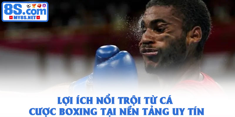Cá cược boxing - Trải nghiệm kịch tính từ sàn đấu quyền Anh 4 Lợi ích nổi trội từ cá cược boxing tại nền tảng uy tín